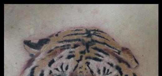 Tiger Tattoo - Դաջվածքում մարմնավորված գիշատչի կրակի և շնորհի էներգիան