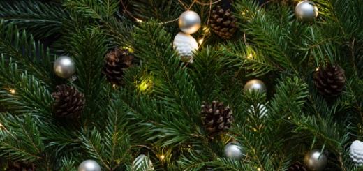 Kako ukrasiti božićno drvce za Novu godinu: najbolji originalni ukrasi i nevjerojatne ideje za dekor