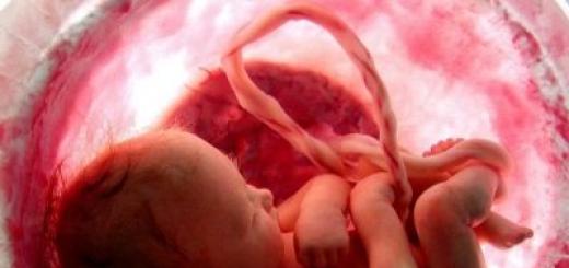 Всичко, което трябва да знаете за пъпната връв Откъде идва пъпната връв на бебето?
