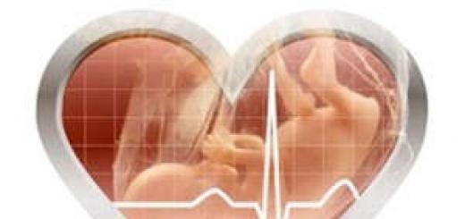 Normalan broj otkucaja srca fetusa tokom trudnoće 6 nedelja trudnoće fetalni puls 95